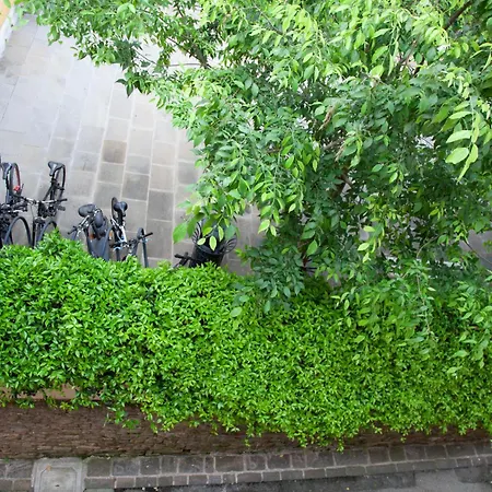 Appartement Rosa Di Pirano Con Terrazza *