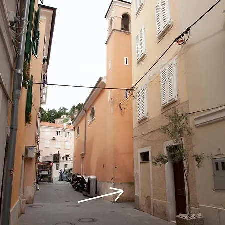 Rosa Di Pirano Con Terrazza